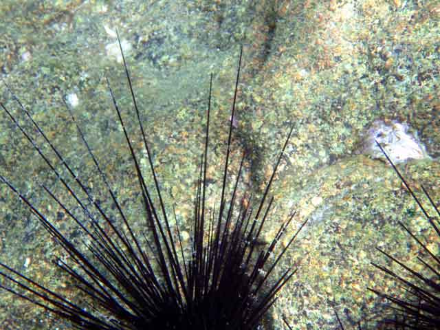 Мега-фотоотчет: Ко Чанг - с 2005 по 2010 г.