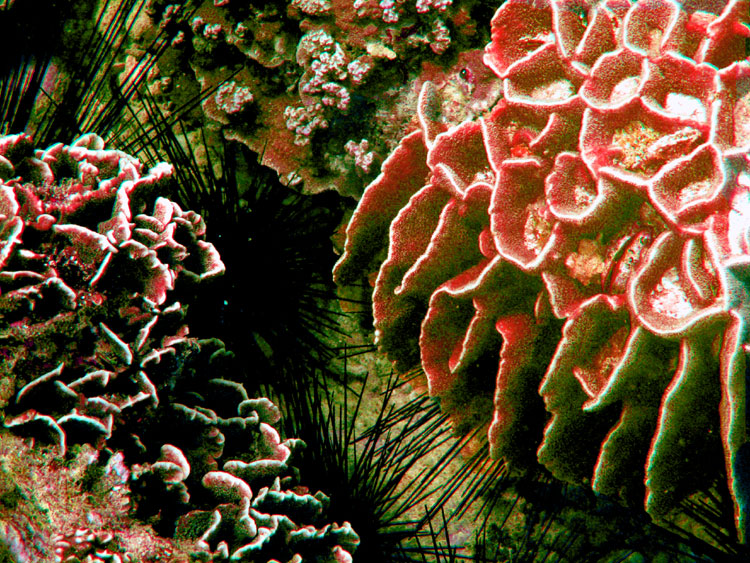 Мега-фотоотчет: Ко Чанг - с 2005 по 2010 г.