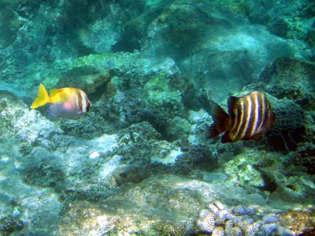 Мега-фотоотчет: Ко Чанг - с 2005 по 2010 г.