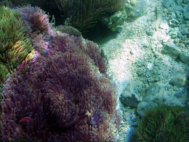 Мега-фотоотчет: Ко Чанг - с 2005 по 2010 г.