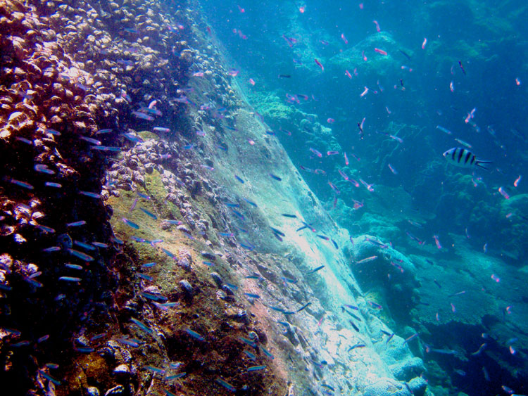 Мега-фотоотчет: Ко Чанг - с 2005 по 2010 г.