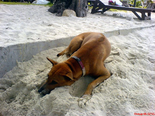 Мега-фотоотчет: Ко Чанг - с 2005 по 2010 г.