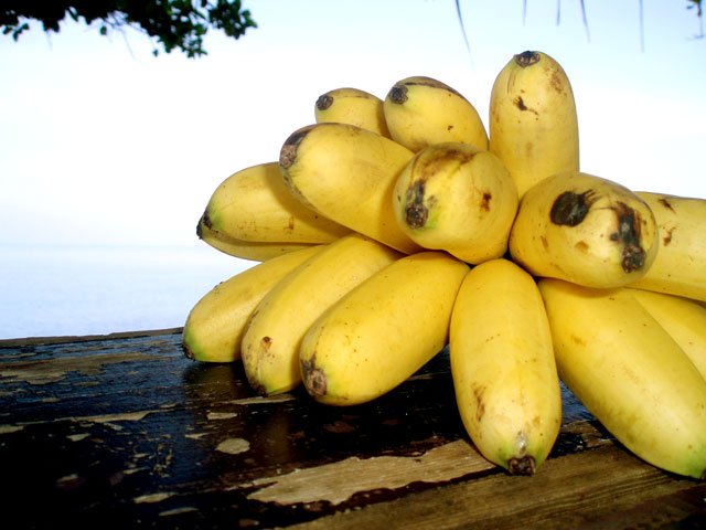 Мега-фотоотчет: Ко Чанг - с 2005 по 2010 г.