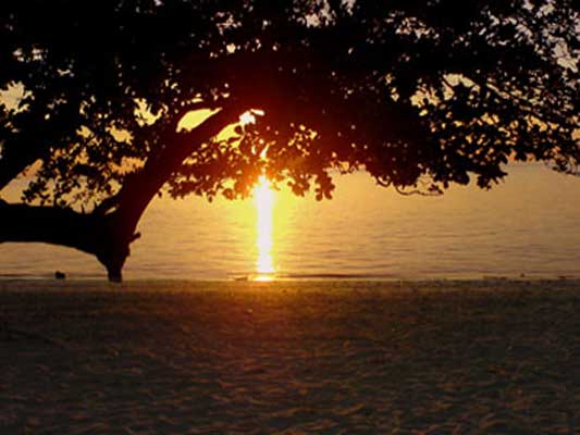 Фото-воспоминания о Таиланде...