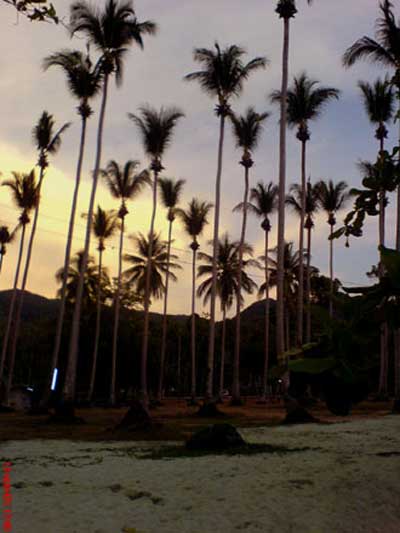 Фото-воспоминания о Таиланде...