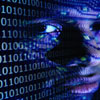 Cybercrimes