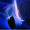 Stop Cyber Crime
